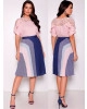 Conjunto Saia Plissada Fasciniu's